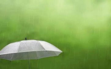 雨课堂心得体会通用8篇