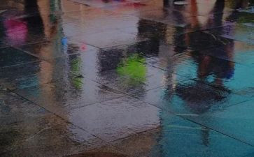 雷雨的读后感5篇