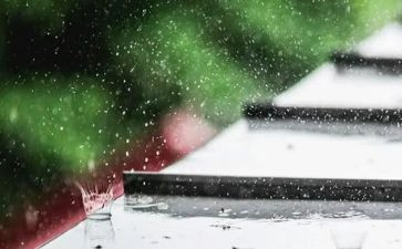 秋雨的读后感8篇