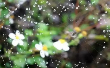 小班《下雨啦》教案5篇