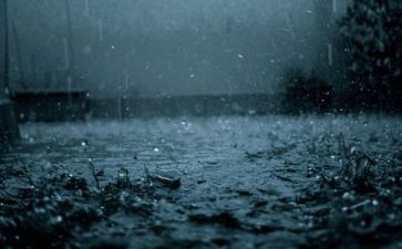 雨的滋味作文600字最新6篇