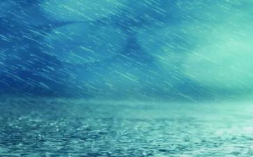 听秋天的雨心得体会6篇