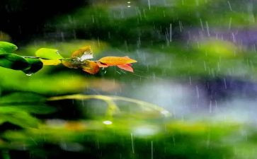 雨天的歌心得体会7篇