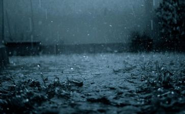 关于雨的心得体会参考8篇
