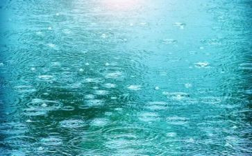 小班《下雨》教案7篇