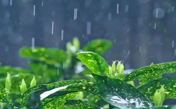 下雨了教案优质7篇