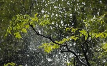 雷雨的读后感最新7篇