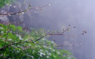 小班语言《雨》教案优秀8篇