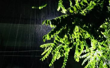 写下雨的时候的作文最新7篇