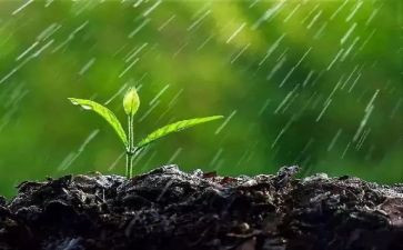 探险雨林作文500字5篇