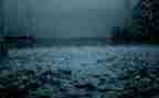 关于雨的心得体会精选8篇