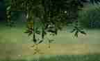 雨后小故事作文8篇