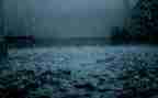 关于雨的心得体会参考8篇