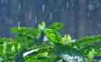 下雨了教案优质7篇