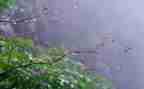 小班语言《雨》教案优秀8篇