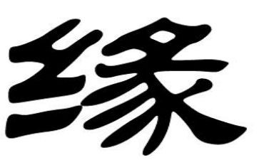 地心缘的读后感模板5篇
