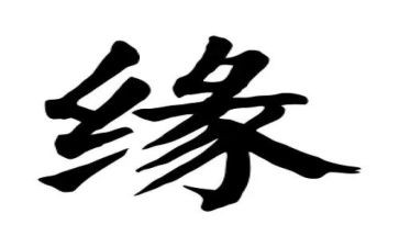 生命缘心得体会模板8篇