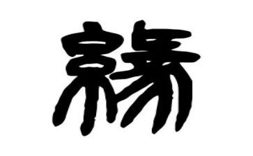 生命缘心得体会5篇