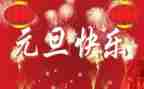 中班元旦活动总结8篇