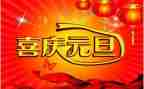 元旦主题活动教案5篇