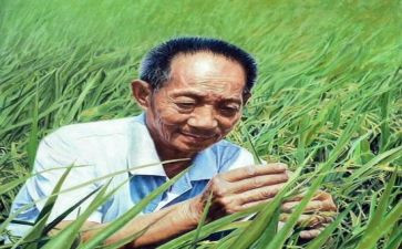 袁隆平事迹及心得体会7篇