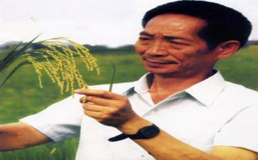 学袁隆平事迹心得体会6篇