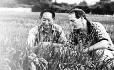 写袁隆平的故事作文5篇
