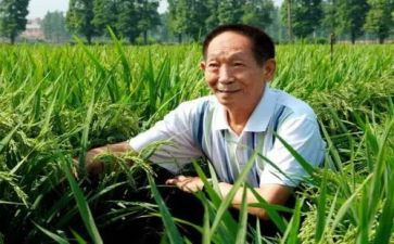 对袁隆平的心得体会优秀7篇