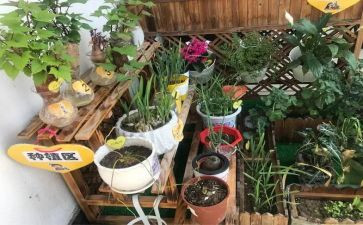 幼儿园培训师风师德心得体会5篇