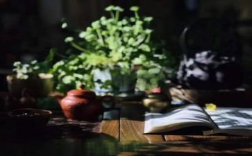 做阅读心得体会参考7篇