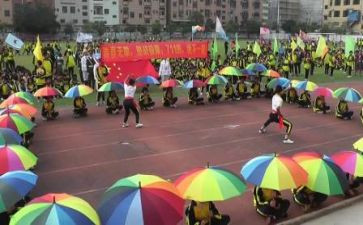 写奥运会观后感6篇