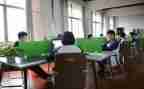学生在校情况调查报告5篇