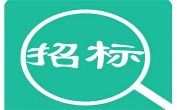 招标代理公司年终总结7篇