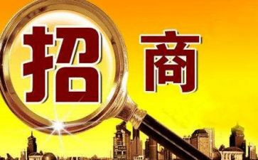 个人招商工作总结范文6篇