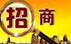 个人招商工作总结范文6篇