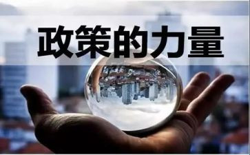 双减政策下心得体会精选7篇