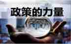 幼儿园政策心得体会6篇