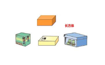 认识正方体和长方体教案5篇