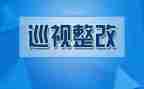 教育整改报告8篇