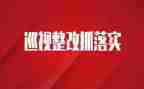 学校安全排查整改报告6篇