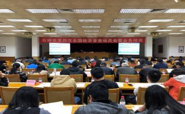 乡镇统计工作年终总结8篇