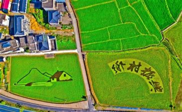 2024年乡村振兴总结报告7篇