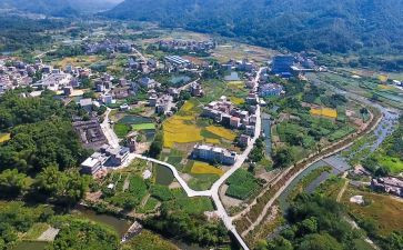 乡村振兴心得体会800参考7篇