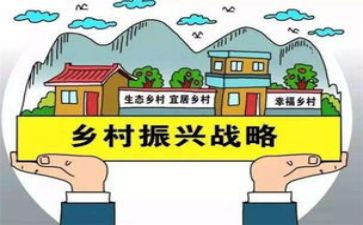 乡村振兴谈心得体会5篇