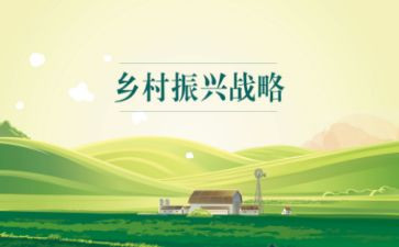 大乡村振兴心得体会模板7篇