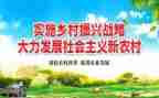 2023乡村振兴心得体会优秀6篇