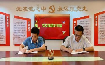 2023党支部年度工作计划范文精选6篇