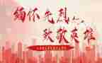 致敬消防英雄作文6篇