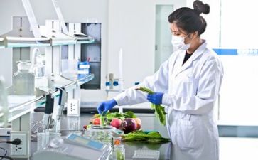质量月个人总结报告5篇
