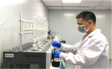 年度质量总结报告5篇
